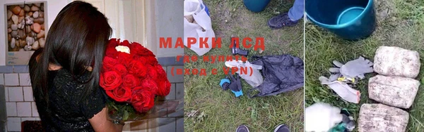 ПСИЛОЦИБИНОВЫЕ ГРИБЫ Зерноград